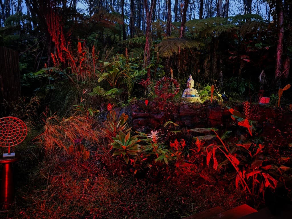 Tropical garden illuminated with red light around a Buddha sculpture